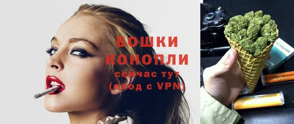 мдпв Мегион