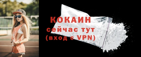 мдпв Мегион