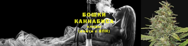 мдпв Мегион