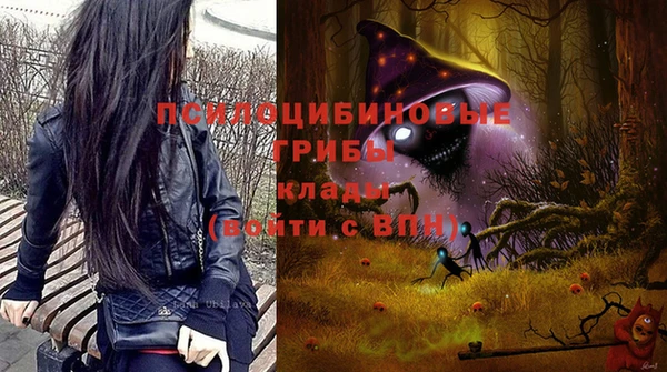 MDMA Медвежьегорск