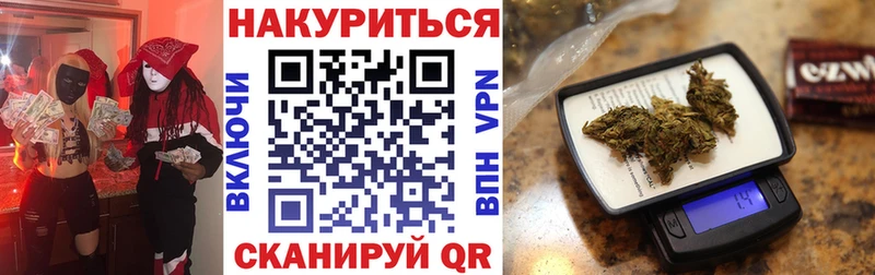 darknet наркотические препараты  Орск  Марихуана сатива 